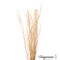 Uniquewise 12 pcs Natural Decorative Dry Branches Authentic Sticks, Home Decoration and Wedding Craft, DIY Greenery Plants Craft Vases fillers Garden Hotel Farmhouse Decor